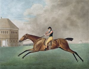 بارونيت ، 1794